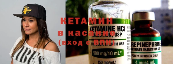 индика Костерёво