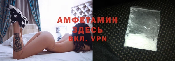 индика Костерёво