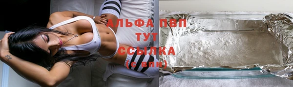 индика Костерёво
