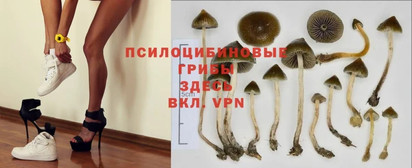 индика Костерёво