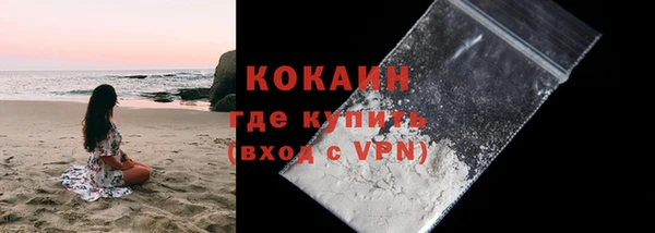 индика Костерёво