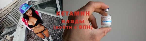 индика Костерёво