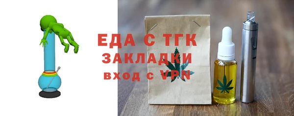 индика Костерёво