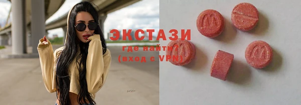 индика Костерёво