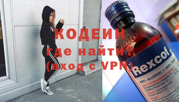 индика Костерёво