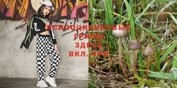 кокаин Коряжма