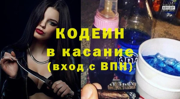 индика Костерёво
