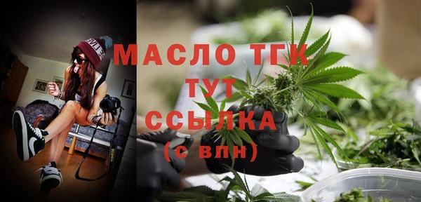 индика Костерёво