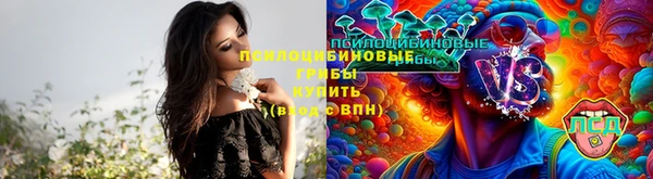 сатива Кодинск