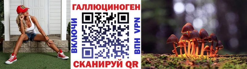 Галлюциногенные грибы Psilocybe Хилок