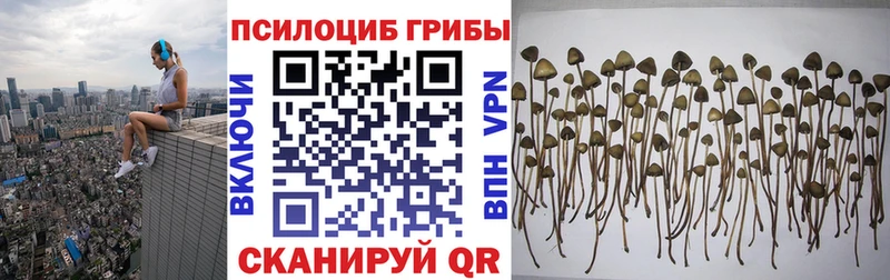 MEGA tor  Хилок  Галлюциногенные грибы мицелий 