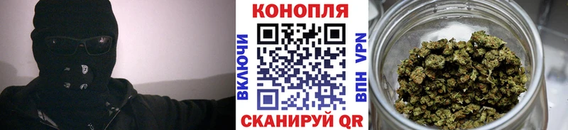МАРИХУАНА семена  Хилок 